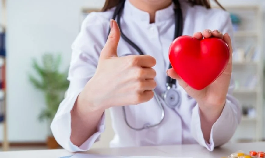 A female doctor Cardiologist in the hospital with a red heart in her hands
