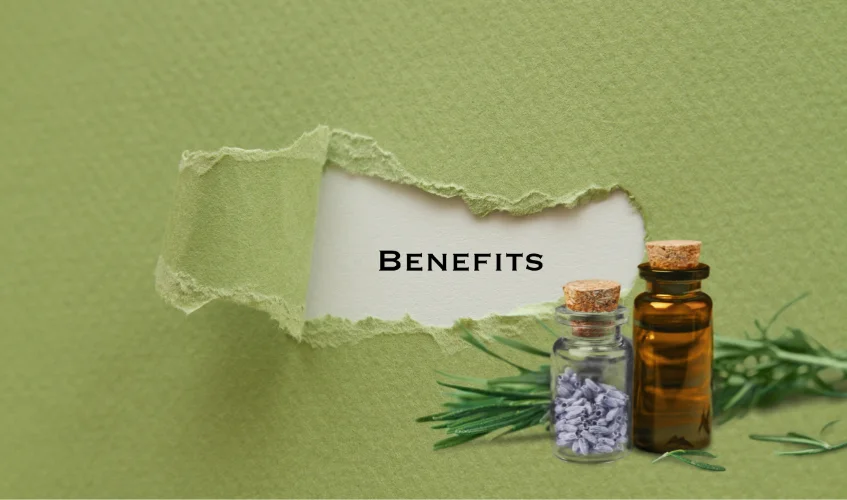 What Are Herbal Medicine Benefits? [9 Key Ones]