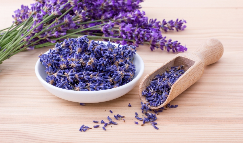 Lavender Spa Products