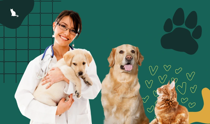 How to Choose the Right Vet for Your Furry Friend