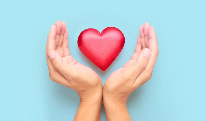 Hands holding a red heart. heart health concepts