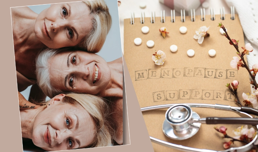 Powerful Herbal Supplements for Menopause: A Comprehensive Analysis