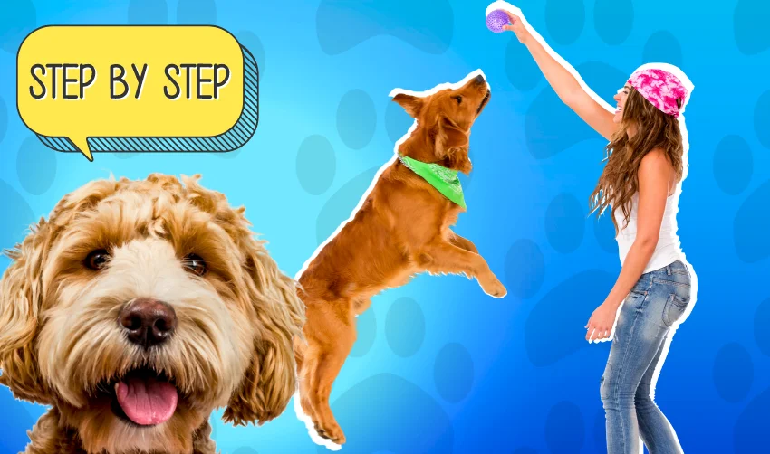 Step-by-Step Dog Behavior Training Guide