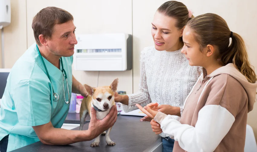 Concerned family with dog consulting by veterinarian