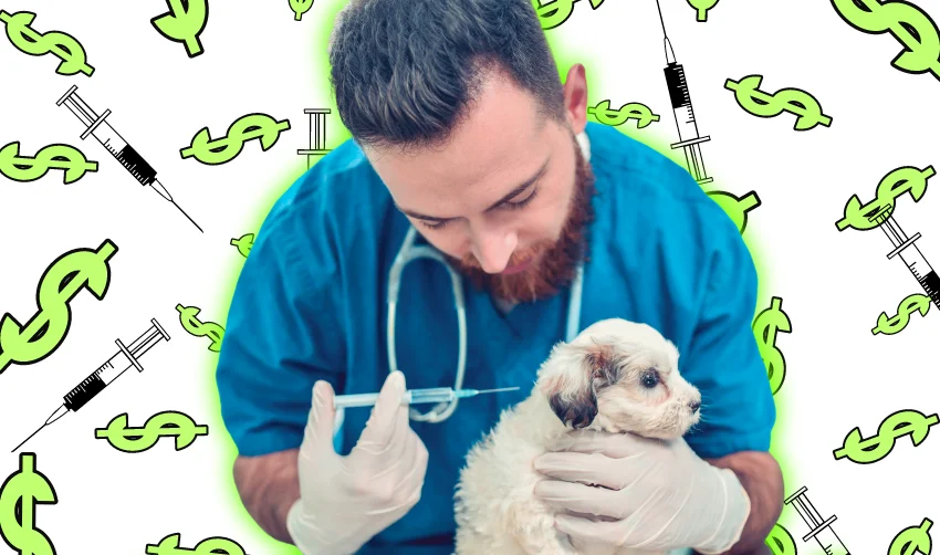 Male Giving Vaccine To Young Puppy