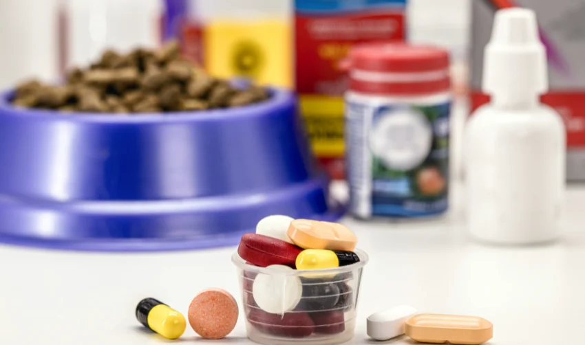 veterinary pills or medication, pet medication, pet supplements or vitamins, with pet food in the background