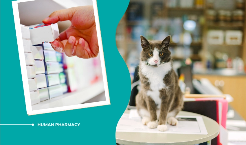 Human pharmacy vs veterinary pharmacy