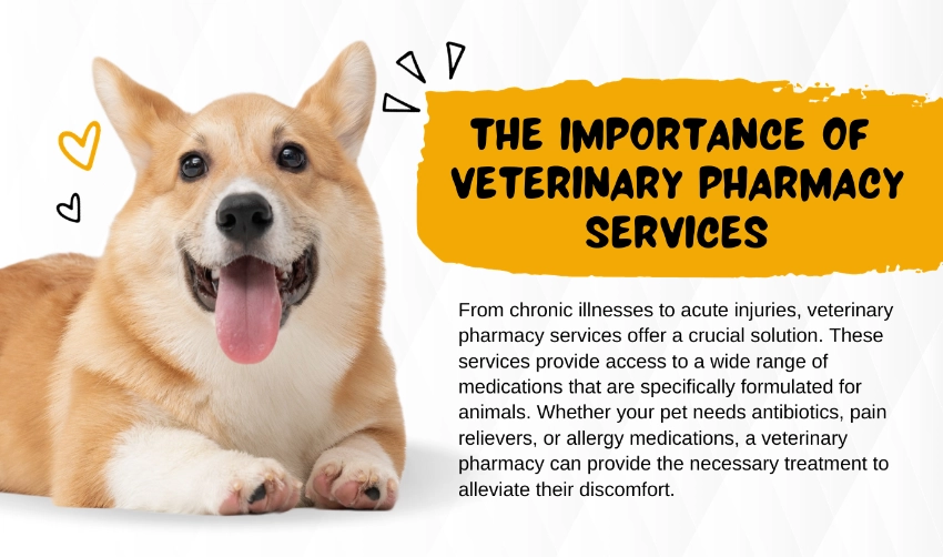 The importance of vet's pharmacy services