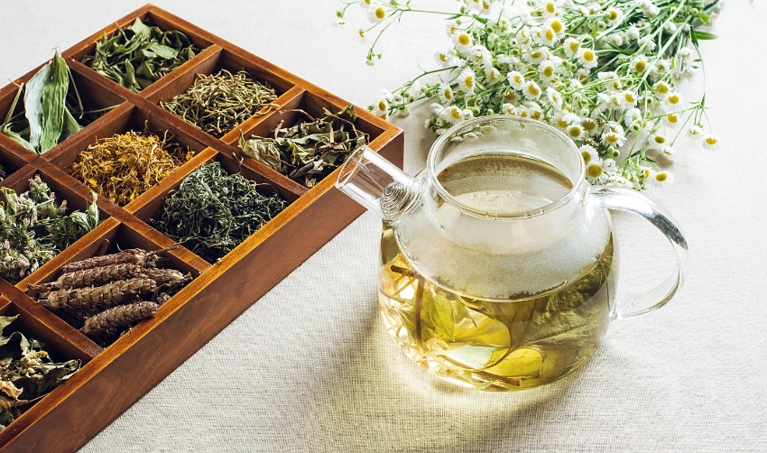 Traditional Medicinal Tea: Unleashing Ancient Remedies for a Modern World