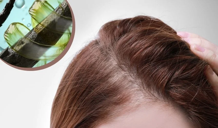 Revive Your Hair’s Strength and Volume: The Power of Compounding for Hair Loss