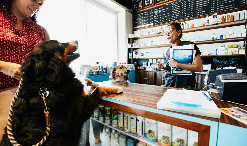 Pet store owner greeting dog and owner at counter in pet store