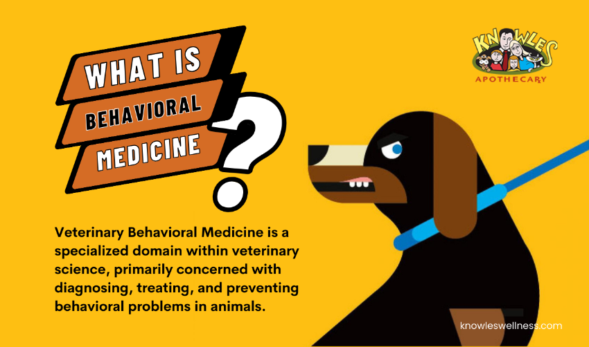Vet behavioral medicine's definition