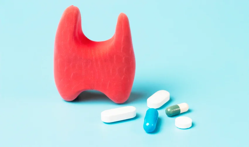 Thyroid Model and compounded thyroid medication